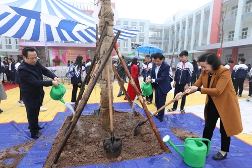 Hà Nội sẽ trồng 15 nghìn cây trong trường học