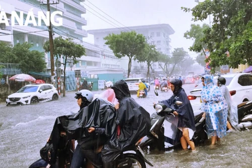 Mưa lớn, Đà Nẵng thông báo khẩn học sinh toàn thành phố nghỉ học chiều 13-10