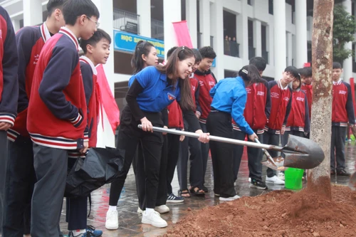 Ngành Giáo dục Hà Nội phát động trồng mới 150.000 cây xanh