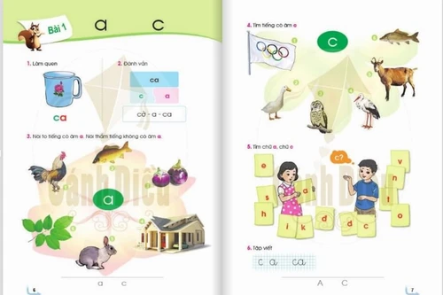 Sách Tiếng Việt lớp 1 bị chê tả tơi, Bộ GD-ĐT yêu cầu Hội đồng thẩm định báo cáo