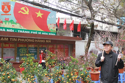 Lên ngay chợ hoa Hàng Lược để thấy Tết về