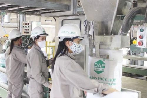 Đề xuất áp thuế giá trị gia tăng 5% với mặt hàng phân bón