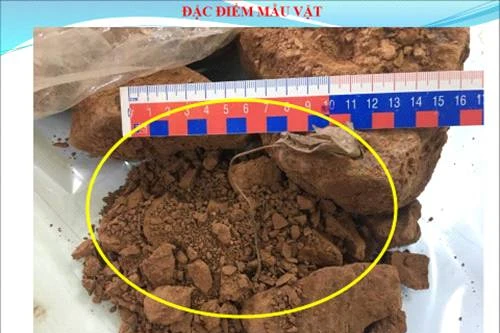 Khởi tố vụ án buôn lậu liên quan đến 44.000 tấn quặng bauxit của Công ty Bảo Nguyên