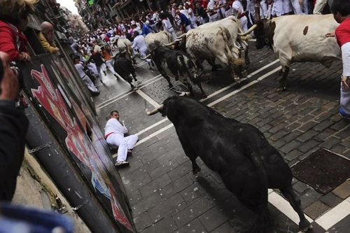 Tây Ban Nha: 7 người bị bò tót húc chết tại các lễ hội
