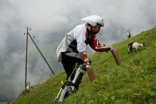 Chán làm người, bỏ lên núi thử ... làm dê