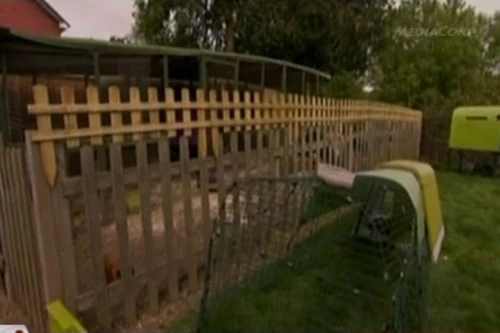 Một khách sạn dành riêng cho gà tại Anh