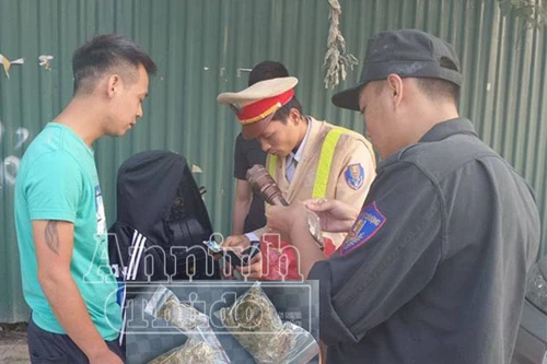 "141" bắt giữ chủ quán cà phê tàng trữ cần sa