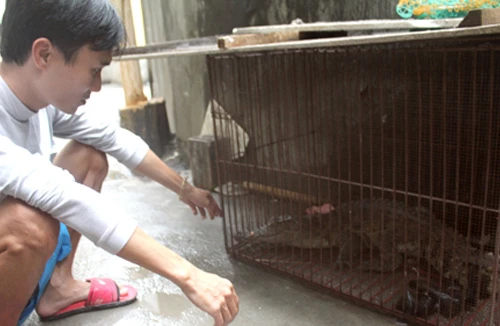 Thú chơi nguy hiểm, khó kiểm soát