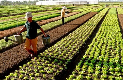 Rót vốn cho nông thôn