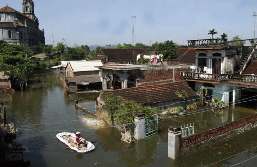 Kỳ I: Chôn rừng