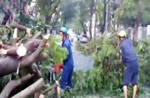 Mưa lớn tại TP.HCM, 1 phụ nữ bị cây đè chết