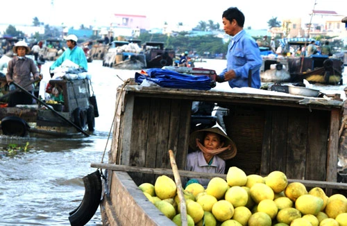 Lênh đênh chợ nổi Cái Răng 