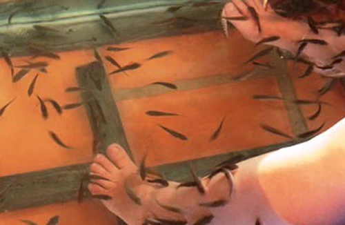 Cá “bác sĩ” - tiềm ẩn nguy cơ gây bệnh