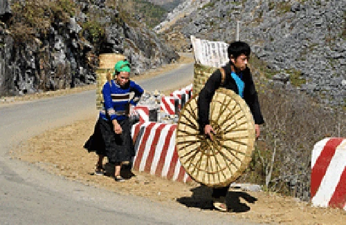 Lắng nghe trong lòng đá