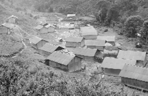 Đông ấm giữa đại ngàn