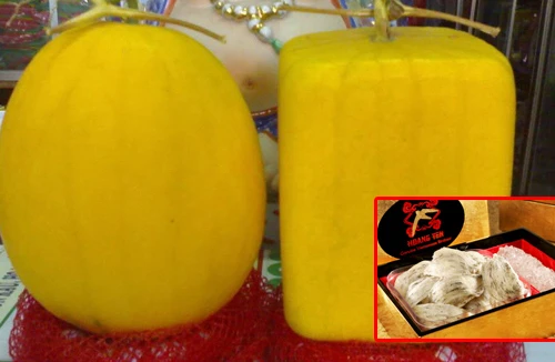 Thị trường quà Tết: Đắt, sang, độc, hiếm