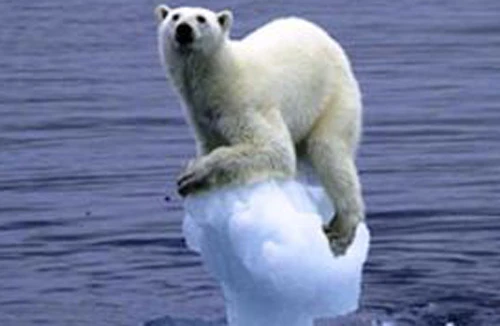 Nguy cơ hiện hữu