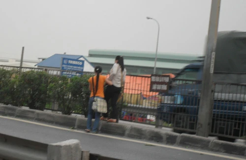 Thót tim cảnh “vượt rào” qua quốc lộ