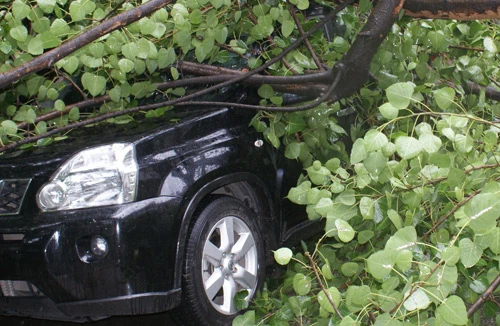 Nội thành đối phó ngập, ngoại thành gặt chạy lúa