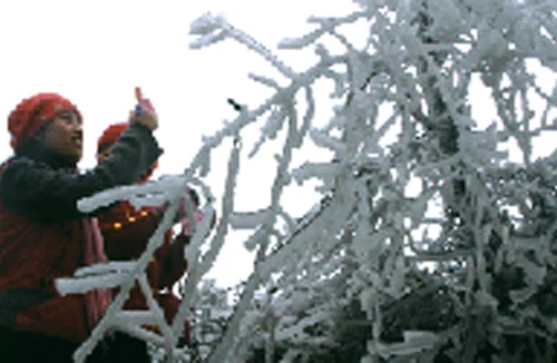 Ấm lòng giữa băng tuyết