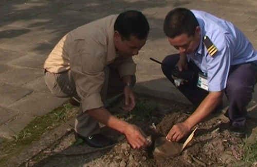 Bắt gọn 3 tên cướp gỗ sưa