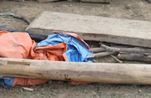 “Phen này ông quyết...”