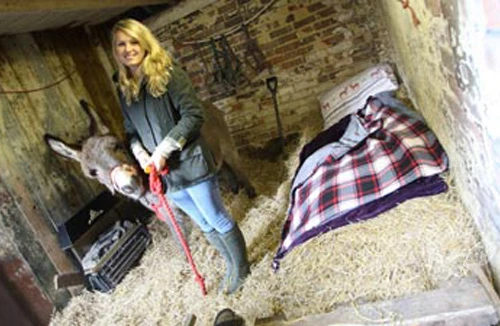 Trải nghiệm Giáng sinh