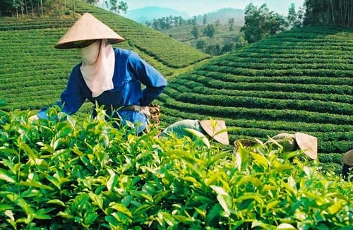 16 mặt hàng xuất khẩu đạt kim ngạch tỷ USD