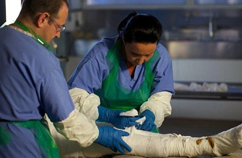 Người đầu tiên ướp xác giống Vua Ai Cập cổ đại