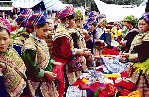 Săn “mầm đá” ở Sa Pa