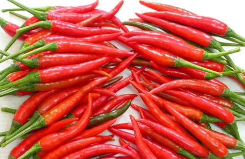 Gia vị lý tưởng cho mùa lạnh