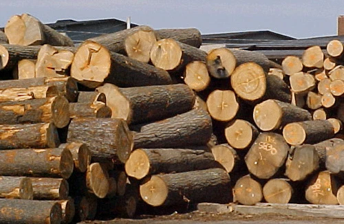 Nóng trong người!