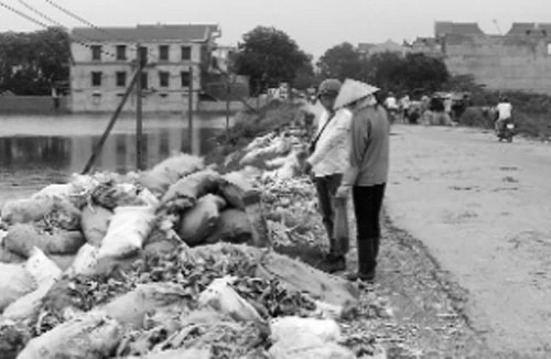 Bịt mũi vào làng