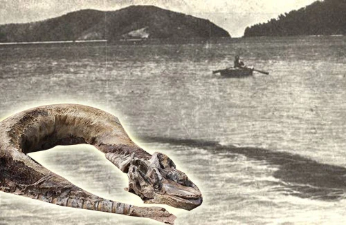 Thuỷ quái Cát Bà - chuyện hư, chuyện thực