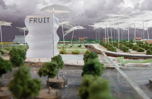 Mua hàng siêu thị ở nông trang