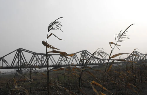 Bờ bãi sông Hồng