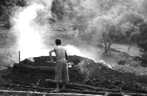 Nguy cơ từ nghề đốt than hoa