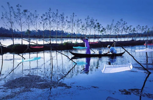 Giải thưởng Nhiếp ảnh xuất sắc năm 2011