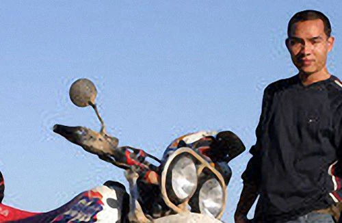 “Cào cào” đi trong phố - giải pháp chống ngập