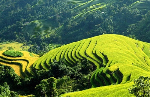 Giải pháp phải kèm theo chế tài 