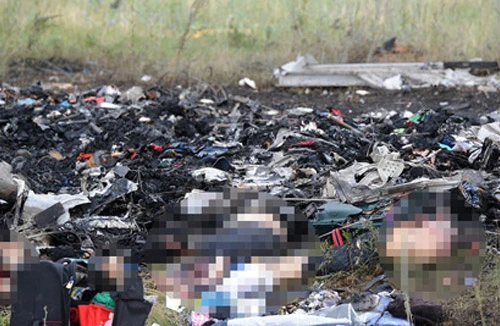 Còn 80 thi thể vẫn nằm tại hiện trường vụ rơi máy bay MH17