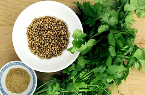 Tinh dầu từ rau mùi chống lại rất nhiều vi khuẩn 