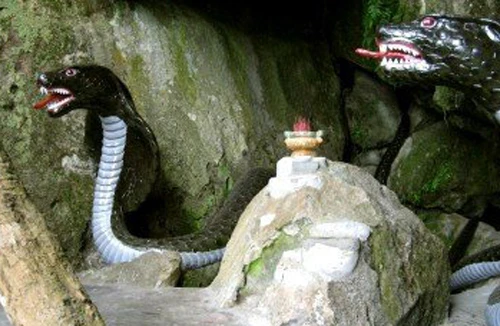 Rắn thần chỉ là sản phẩm của trí tưởng tượng