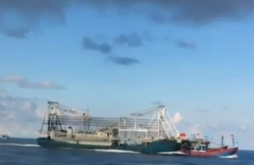 Tàu Trung Quốc quyết đâm chìm tàu cá Việt Nam - hành vi vô nhân đạo!