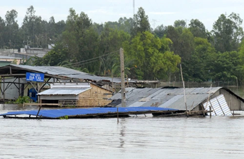 Cảnh báo lũ sớm ở đồng bằng sông Cửu Long: Chủ động hay bị động?