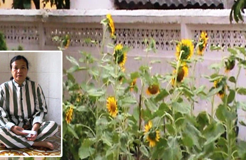 Đã hết thời “oanh liệt” 