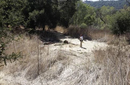 Hồi chuông báo động