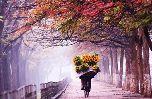 Cuộc thi ảnh nghệ thuật Hà Nội lần thứ 41