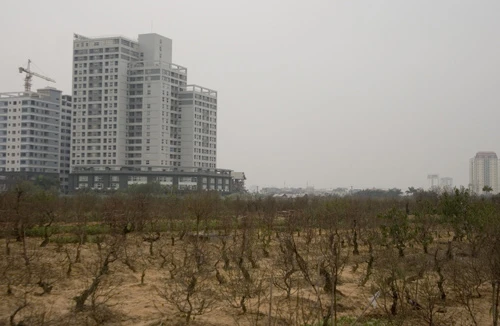 Đất vườn ao được chuyển thành đất ở