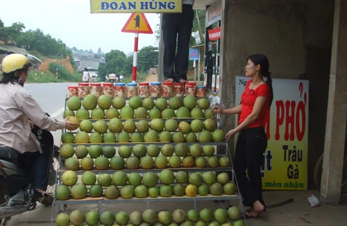 Chỉ dẫn địa lý có cũng như không